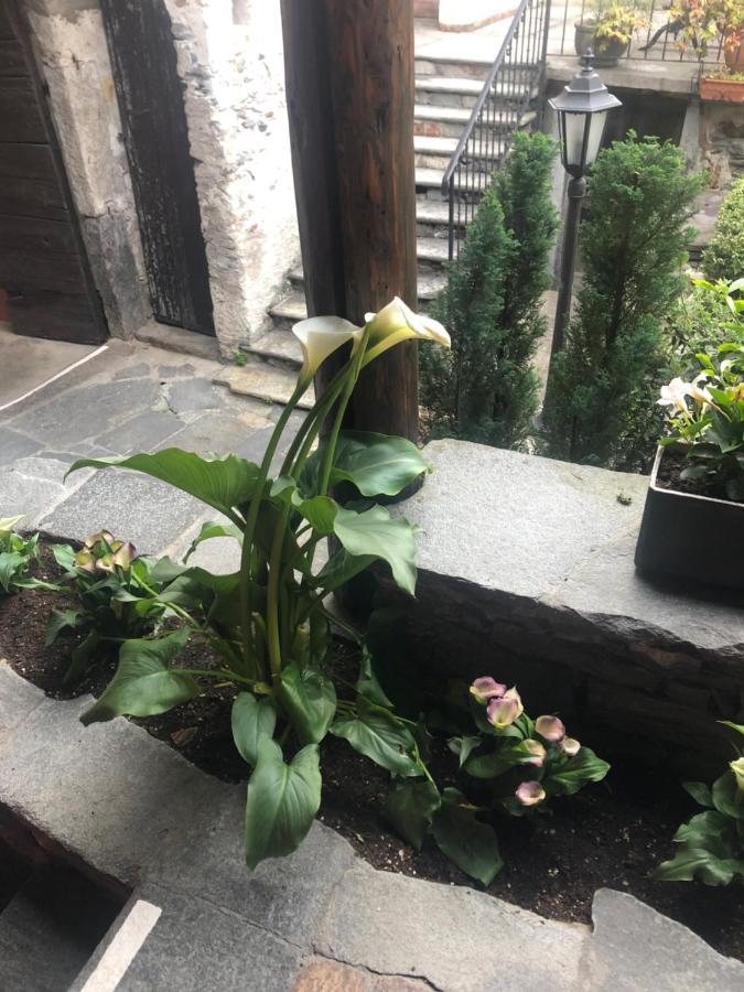 Hotel Garni Degli Angioli Ascona Zewnętrze zdjęcie